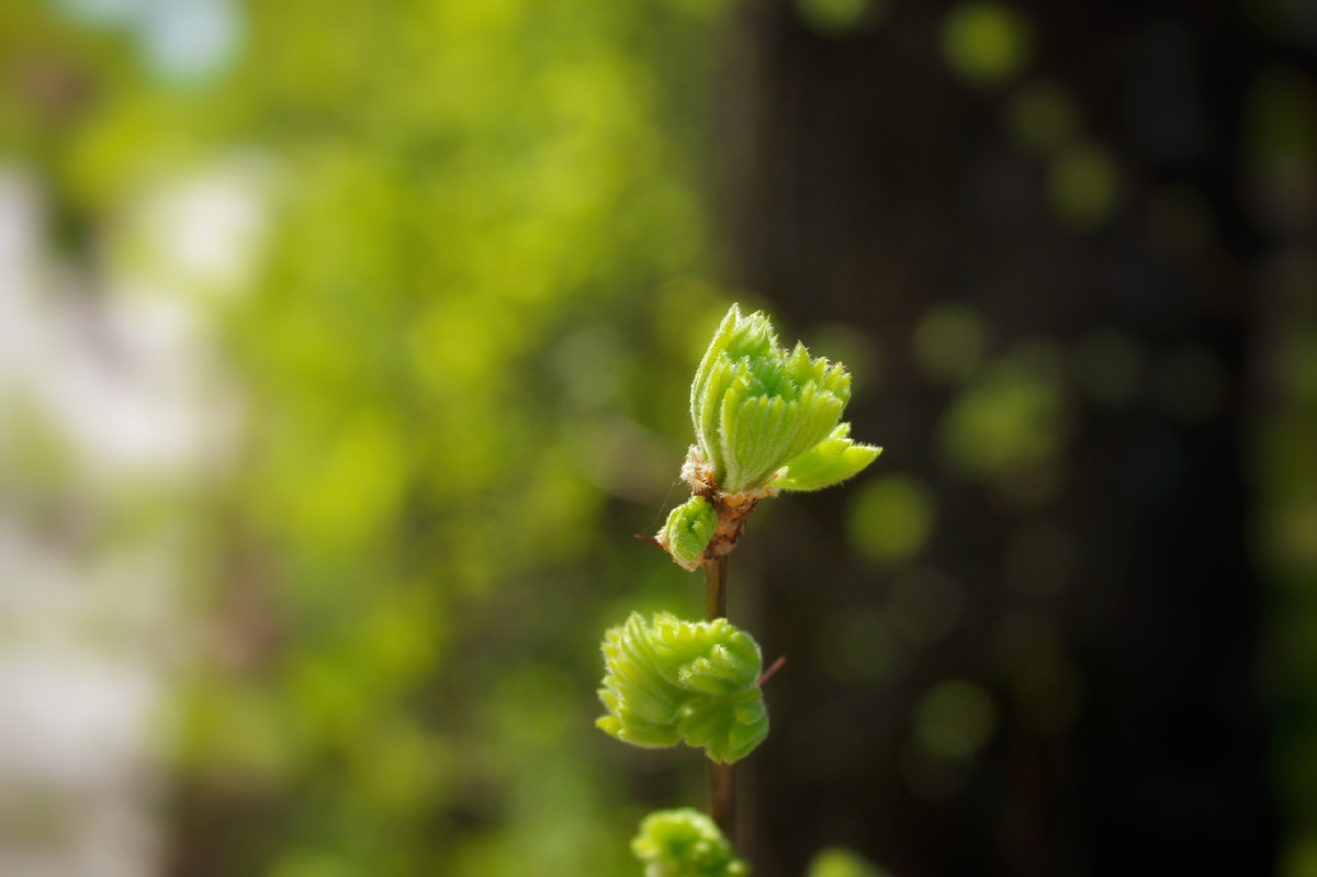 Фото: Елена Спиридонова
