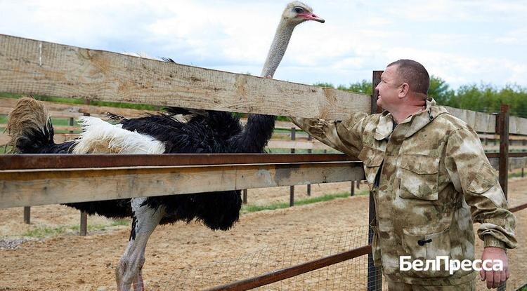 Фото: Елена Журавлёва