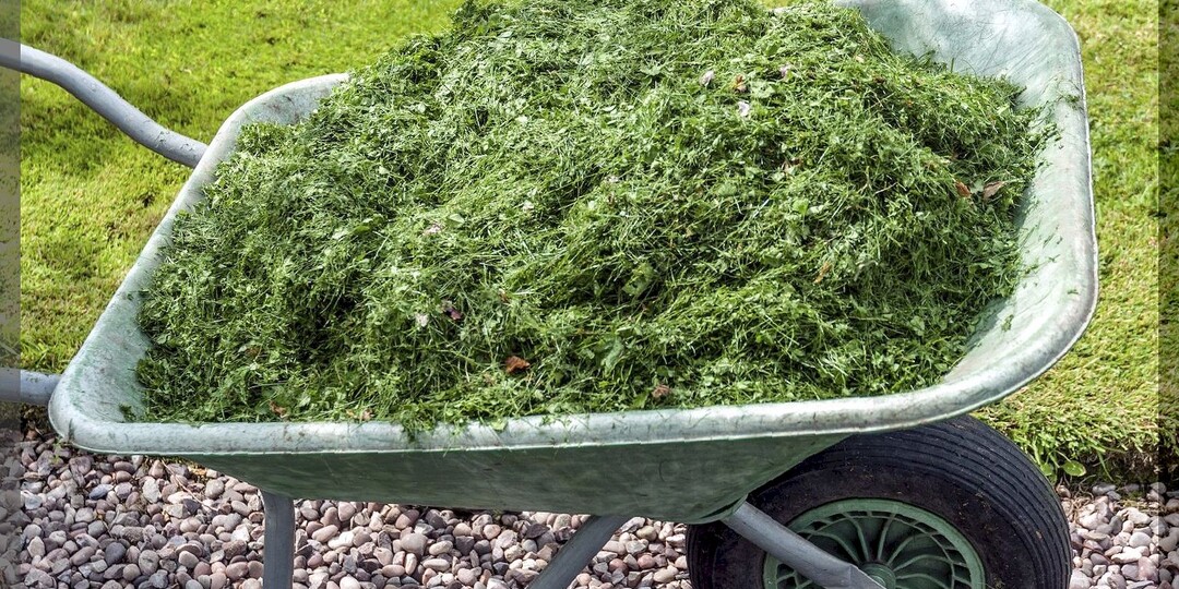 Не спешите выбрасывать скошенную траву: как дачнику использовать скошенную траву с пользой для участка