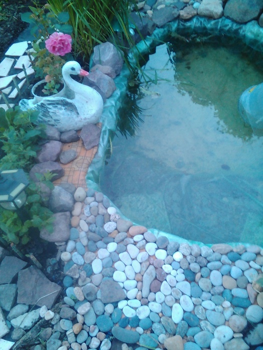 Так вырытый пруд-бассейн выглядел изначально.