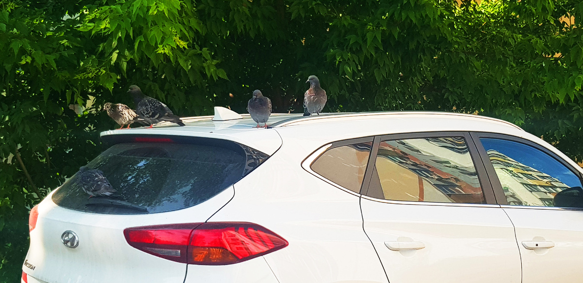 Доходы и экономия - две сферы жизни которые должны придерживаться строгой дисциплины 