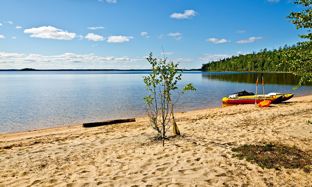 (фото из открытых источников)