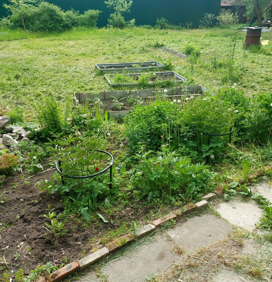 Как–то так пока.