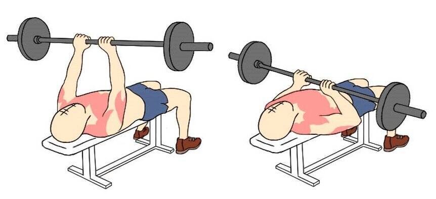 Жим штанги узким хватом