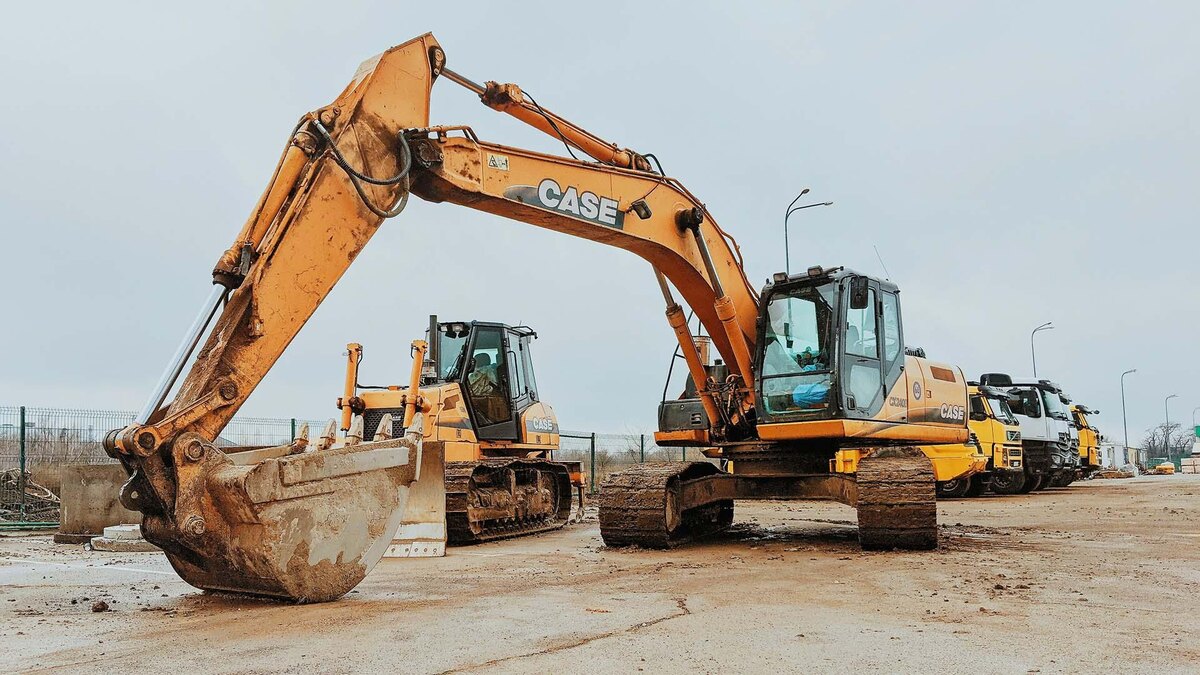    Фото: unsplash.com