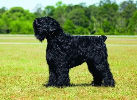 Фото из открытых источников интернета 