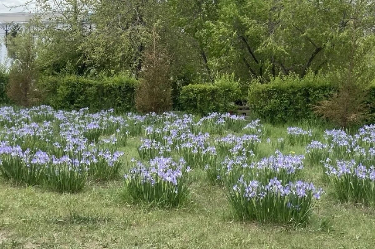    Интерес пермяков к подготовке земельных участков увеличился в шесть раз