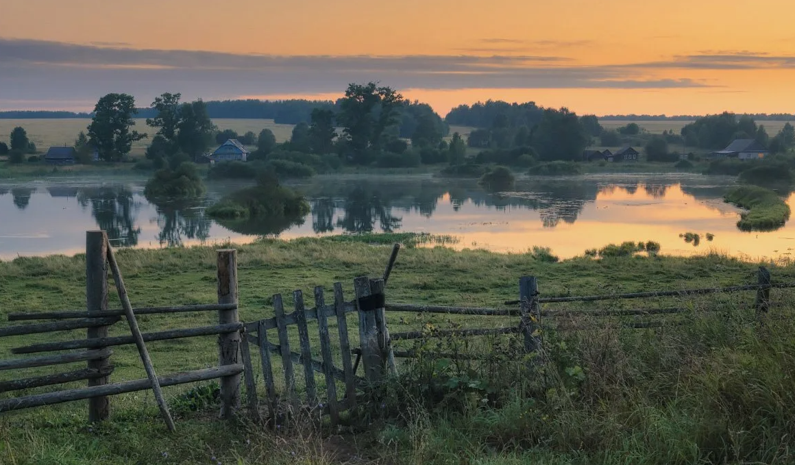 Яндекс картинки
