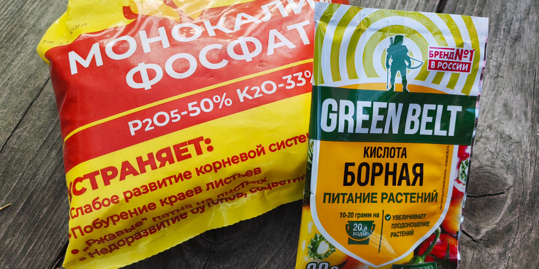 Чтобы цвет не опал, и ягоды крупные. Внеплановая подкормка клубники во время цветения
