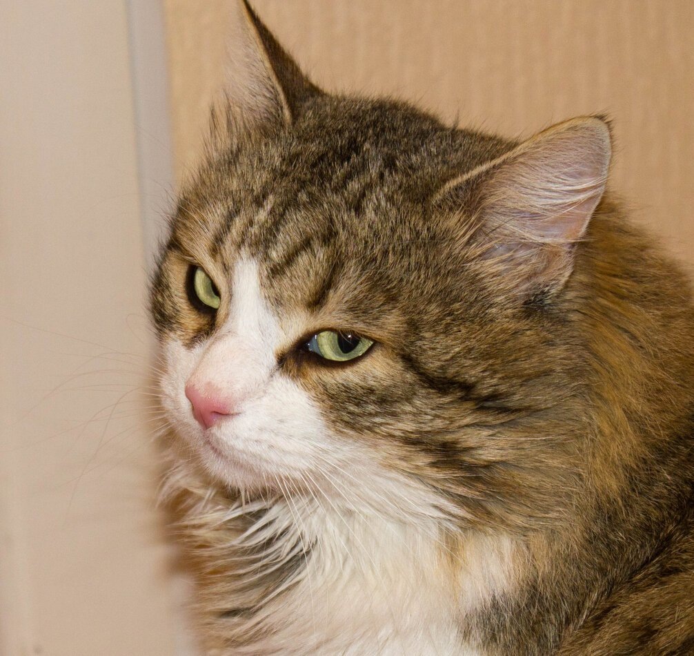 
Вовремя оказанная помощь и поддержка могут помочь человеку переосмыслить свои ценности и встать на путь "жизни", а не "саморазрушения".