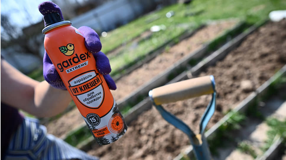 Фото: Александр Миридонов / Коммерсантъ