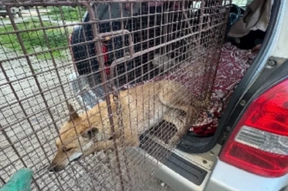    После трех лет в темноте: