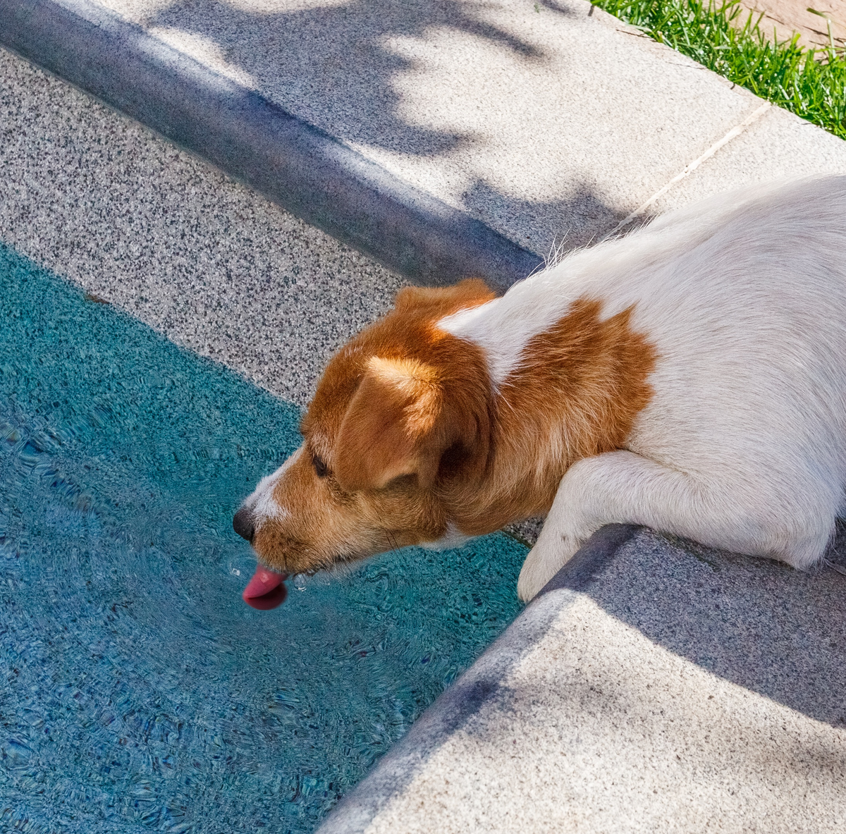 Вода питьевого качества