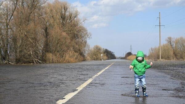    © Sputnik / Илья Питалев