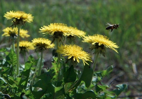 Фото: РИА Новости/ Сергей Мальгавко