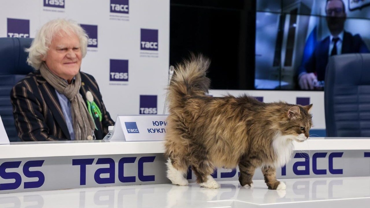    В театр пушистым артистам с улицы не попасть. Фото: Belkin Alexey/news.ru/www.globallookpress.com