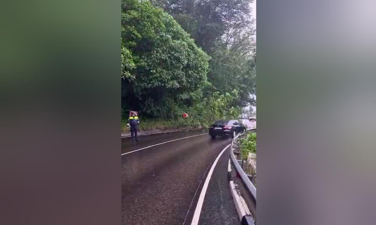    Фото t.me/gibddsochi