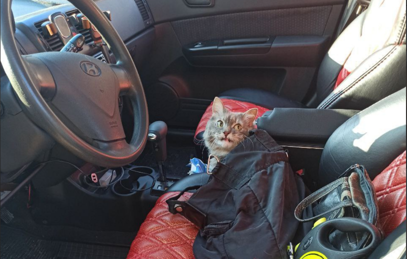 Маняха желает рулить