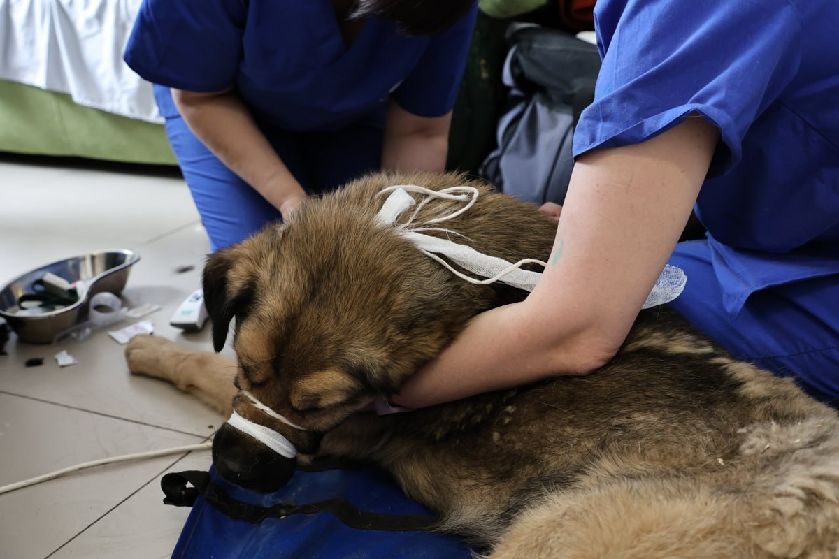    Фото: фото Пресс-служба АМС
