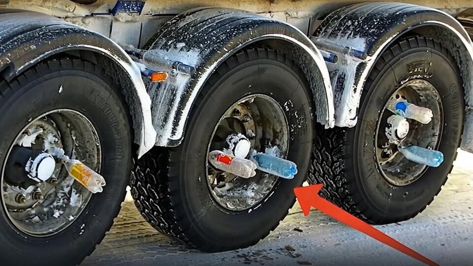 Фото: © Кадр из программы "Купи-продай", РЕН ТВ