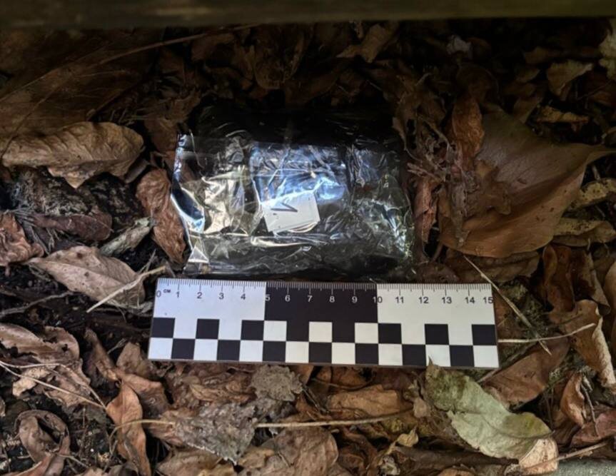    Фото: пресс-служба полиции Сочи