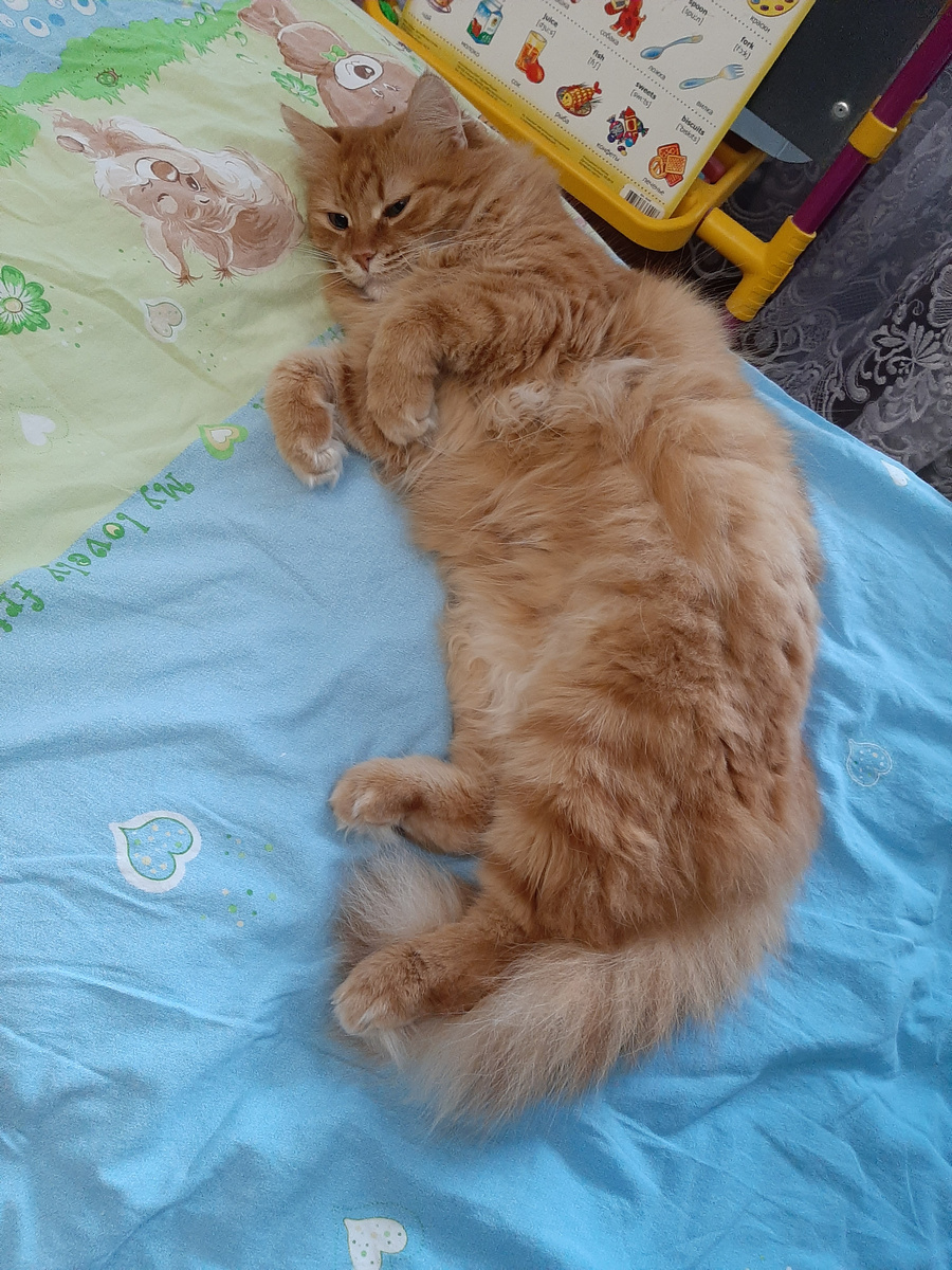 Ну ты и спросила)) Конечно, на диване лучше лежать...蠢女人！