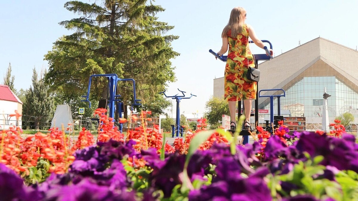     Источник: 1MI