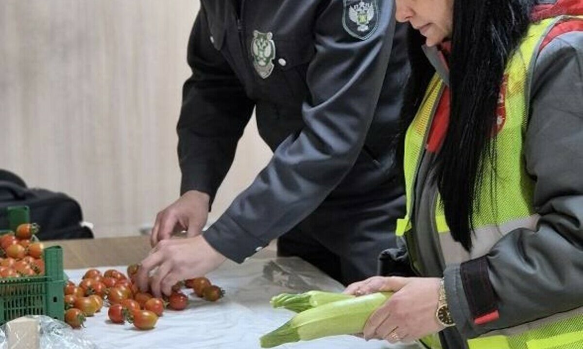    Фото t.me/rsn_yug