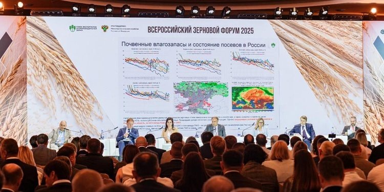    Предварительные итоги зернового экспорта России 2024/25