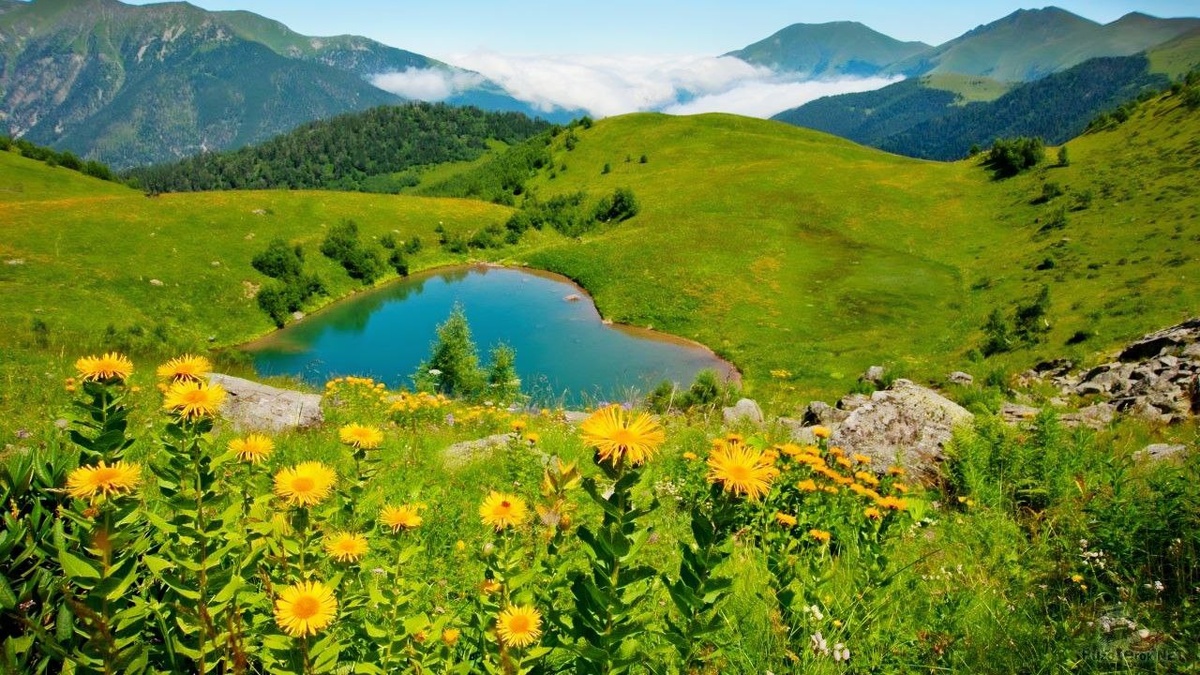 #турыпокавказу #летонакавказе #летомнакавказе #северныйкавказ #горыкавказа 