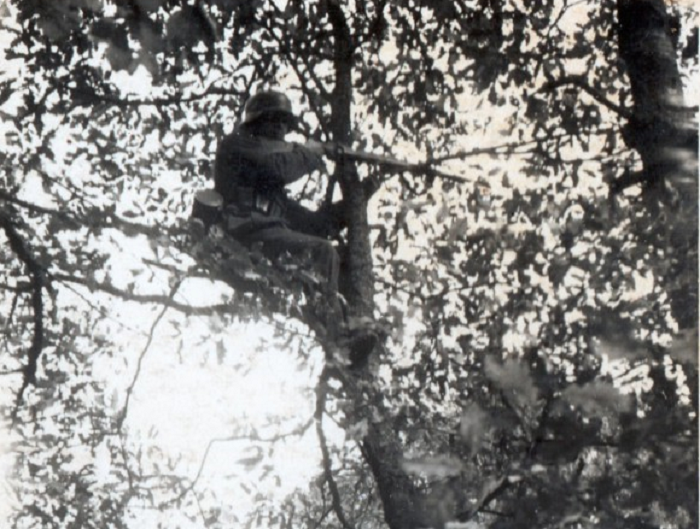 Немецкий стрелок на дереве