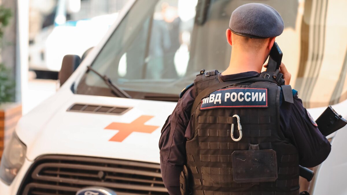 Фото: Roman Naumov/URA.RU/globallookpress.com