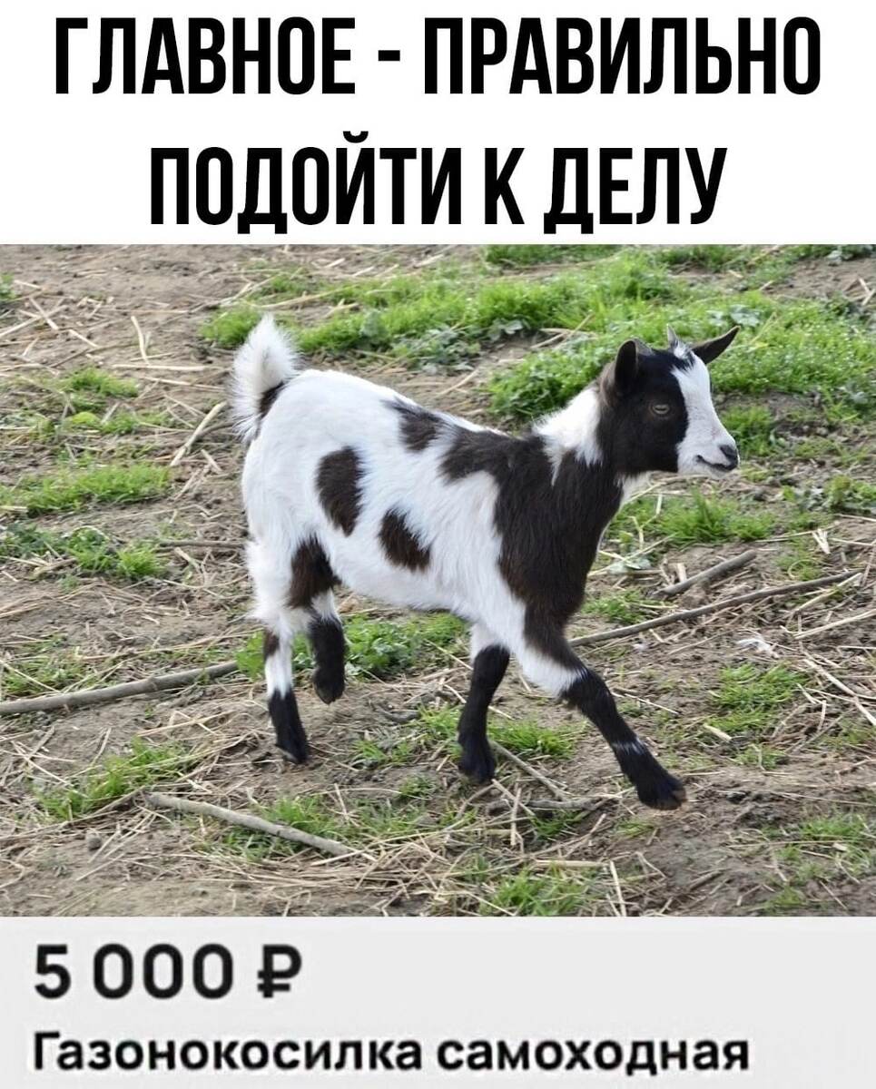 Это не по статье, зато смешно) 