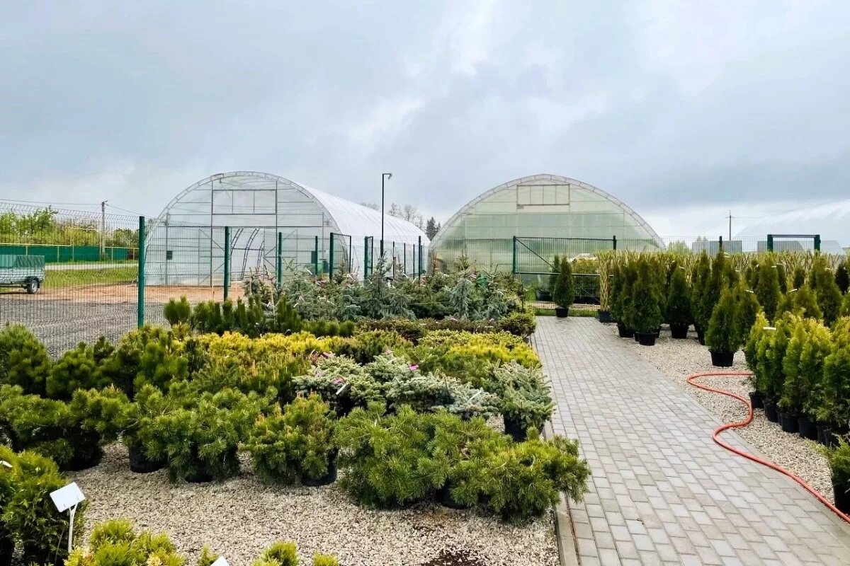    В Псковском районе строится ландшафтный парк-питомник