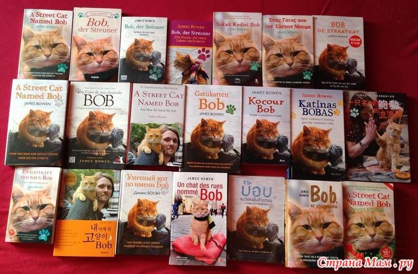 обложки изданий на разных языках