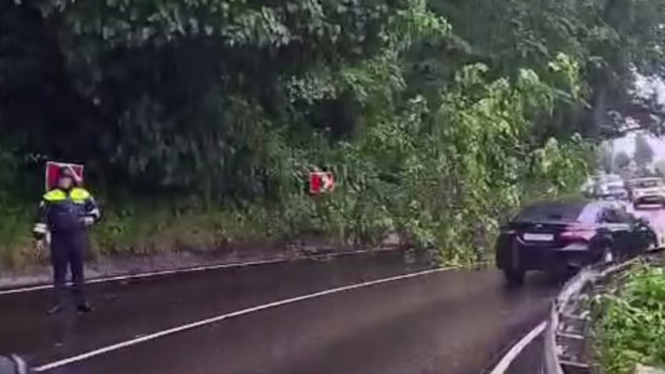 Фото: Пресс-служба ГАИ Сочи