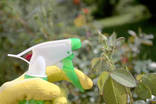 Баковая смесь для Обработки сада от Тли. Фитоспорин и Фитоверм. Био против Тли