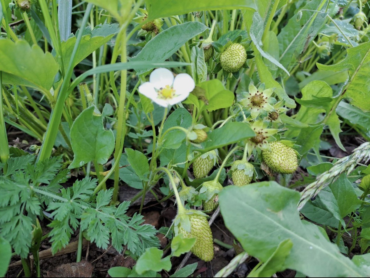 Фото из открытых источников