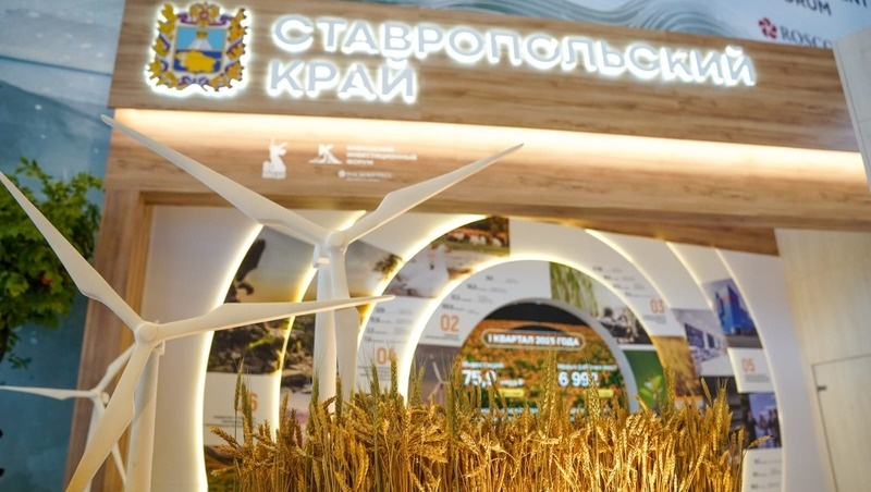      Фото: Управление пресс-службы и информполитики губернатора и правительства Ставропольского края