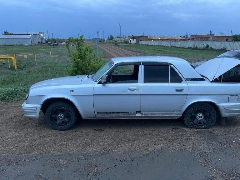    В Оренбуржье пьяного водителя задержали после стрельбы по колёсам Оренбуржье