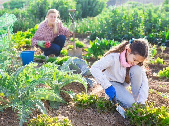    Фото: 123RF/jackf