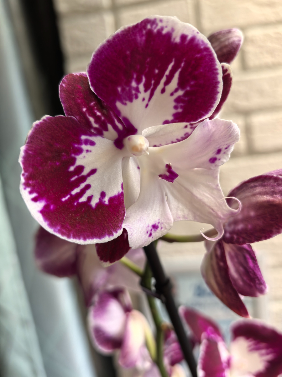 Только открылся)))