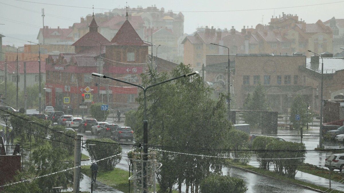    Фото: Андрей Ткачёв / «Ямал-Медиа»