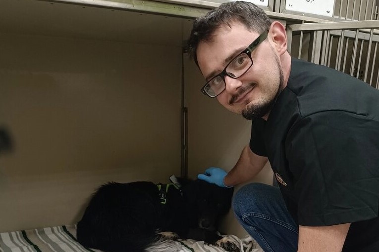 «ШАНС приют для собак. Псков» / Вконтакте 