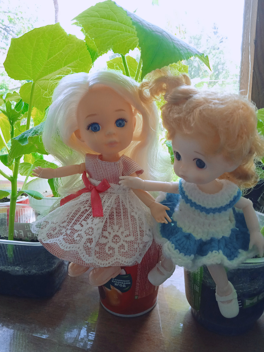 Фото автора канала. 