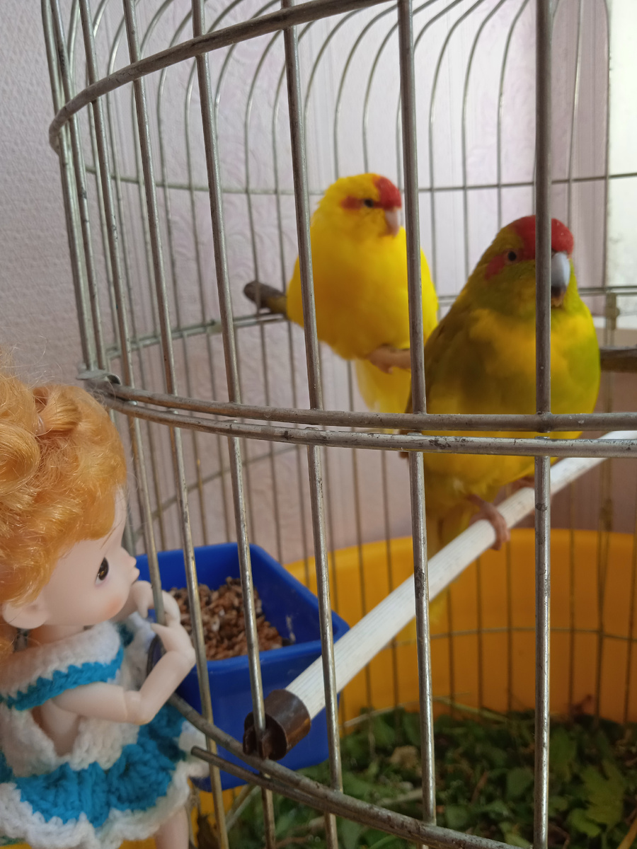 Фото автора канала. 