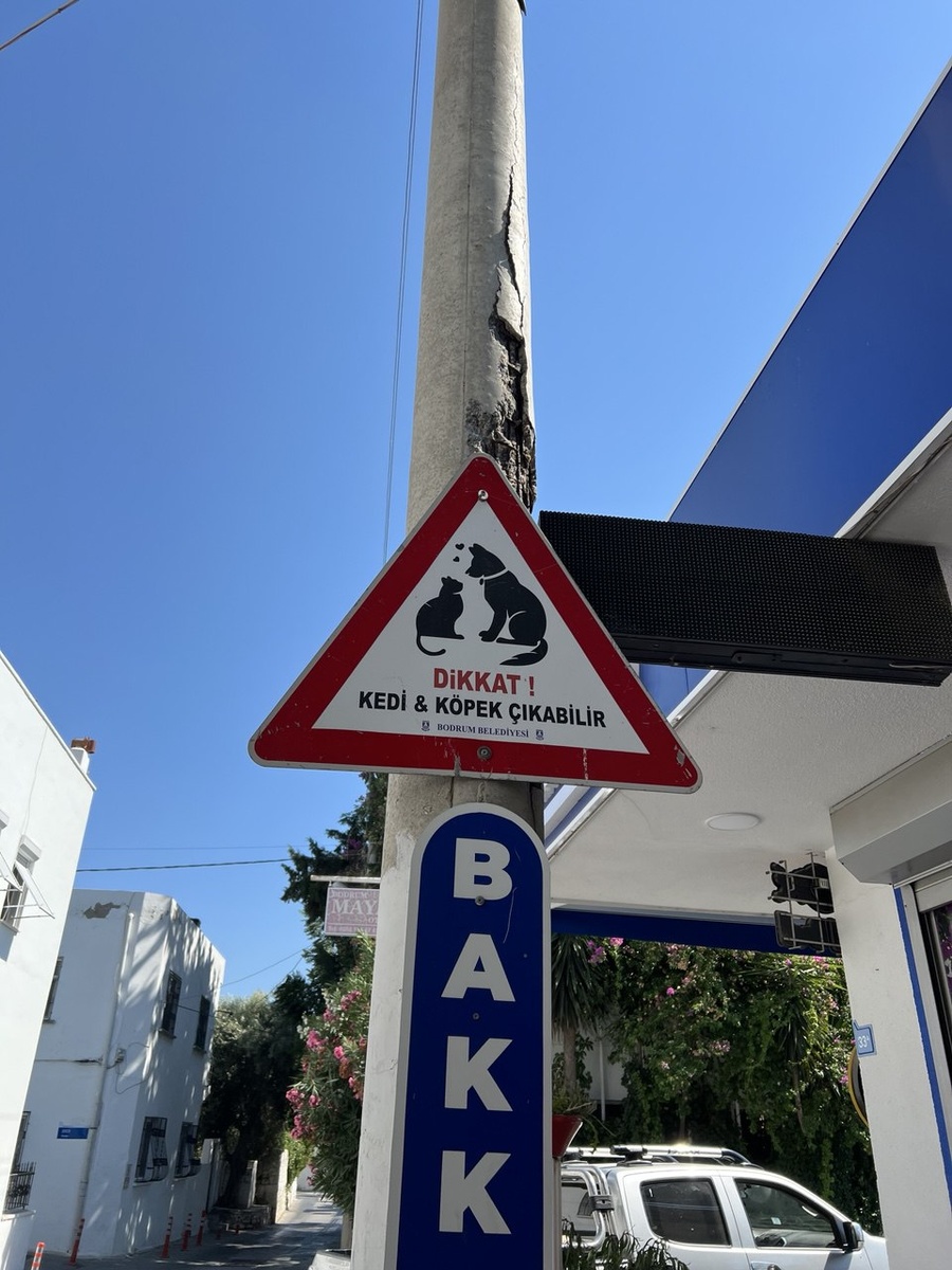 На улицах можно встретить много кошек и собачек. Все очень дружелюбные