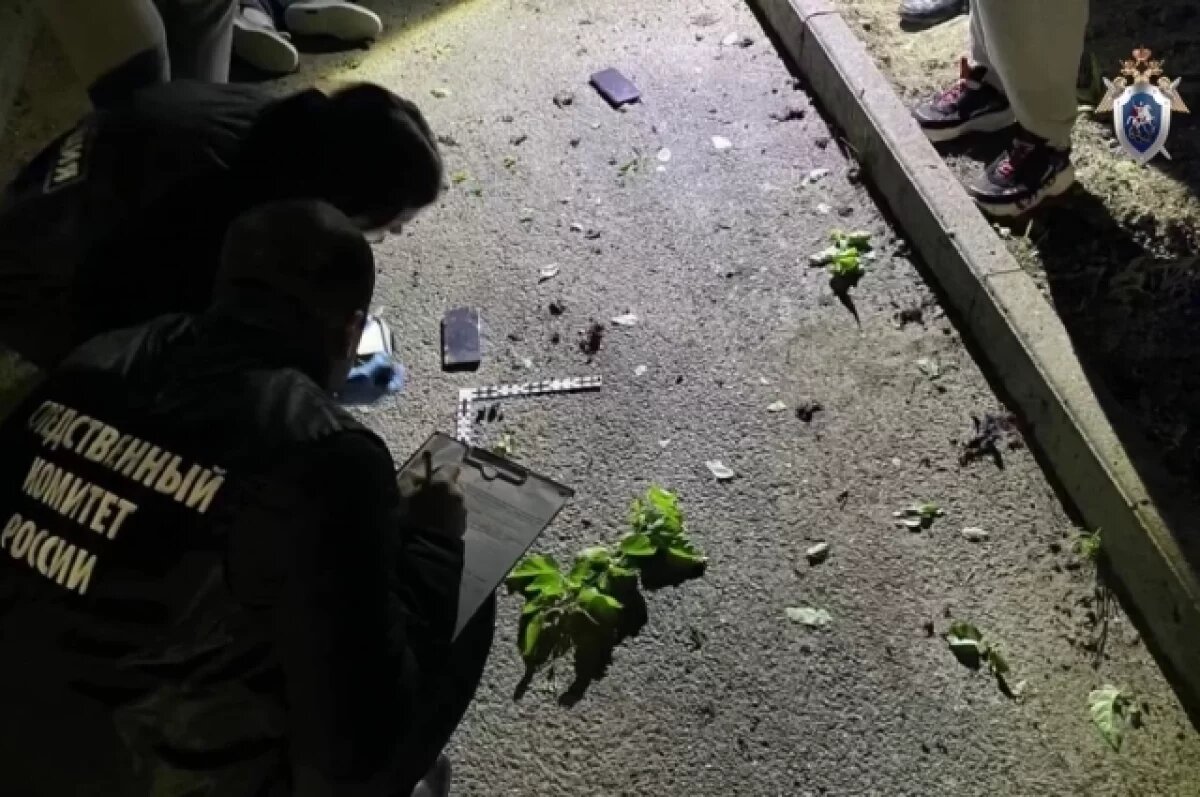    Эксперт Игнатов: Пенькова могли использовать втемную для убийства Гурциева