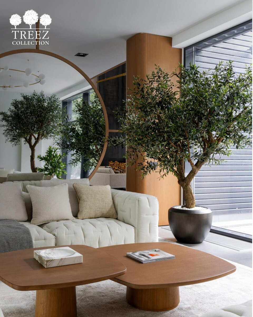 Кашпо и растения Treez Collection