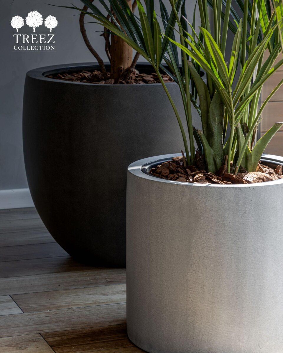 Кашпо и растения Treez Collection